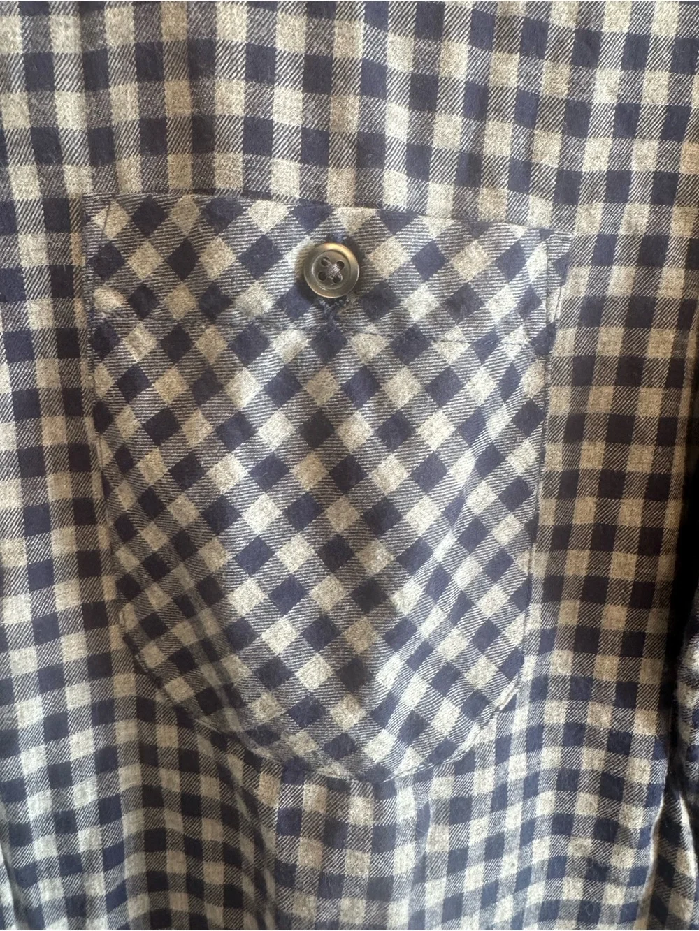Banana Republic Navy and White Gingham Button-Down Shirt